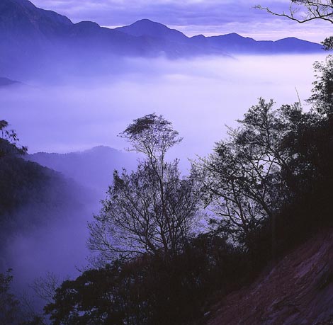 登山口景觀1