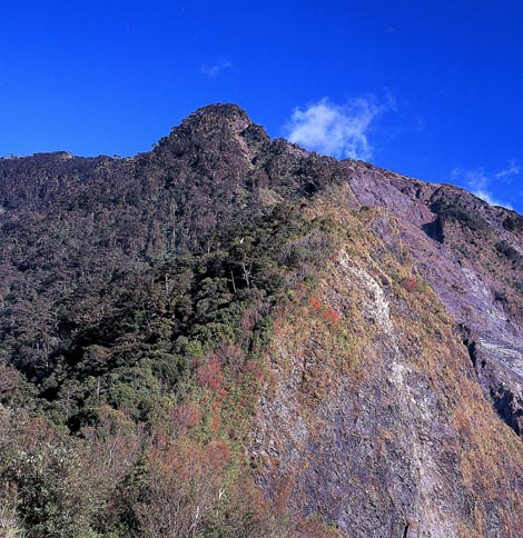 主稜山頭