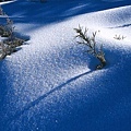 雪地一景