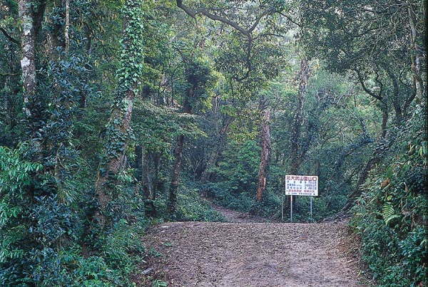 登山口