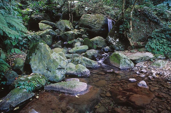 登峰圳 (3)