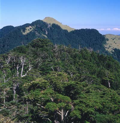 遠望桃山