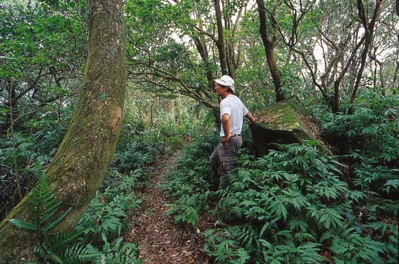 菁桐古道1.jpg