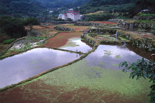File0849.JPG File0849.JPG