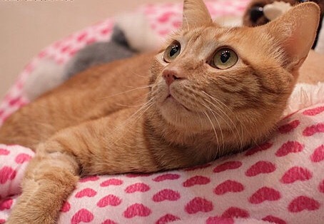 S__28180732.jpg S__28180732.jpg