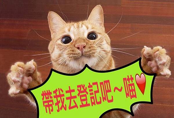 819216.jpg 819216.jpg