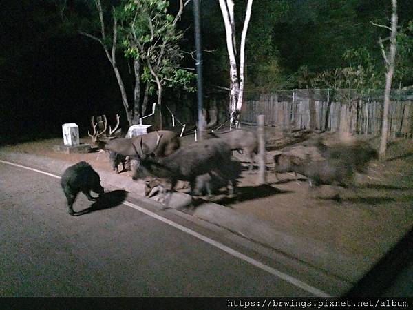 49526399342_344039136c_k.jpg 49526399342_344039136c_k.jpg