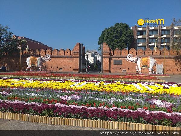 49530024813_8b78024d04_k.jpg 49530024813_8b78024d04_k.jpg