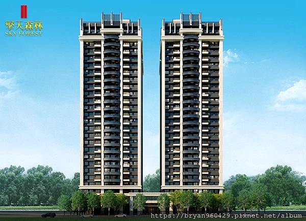 擎天森林2-0917563051.jpg