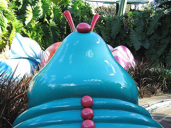 a bug's land_07.JPG