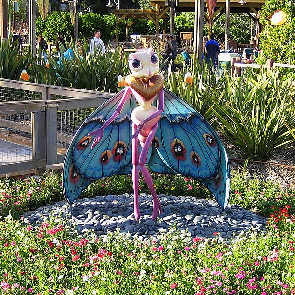 a bug's land_12.JPG