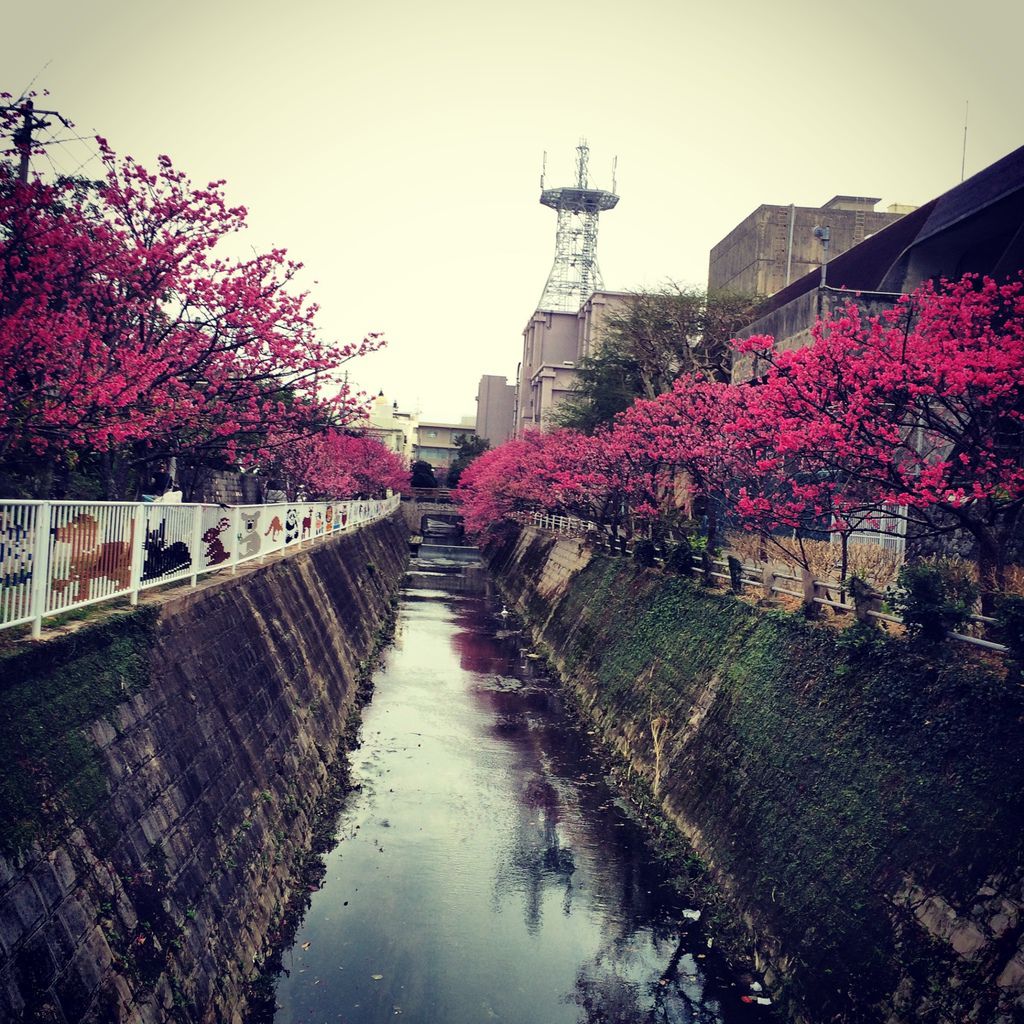 2016.2.24-2.27 by 阿美_1536.jpg 2016.2.24-2.27 by 阿美_1536.jpg