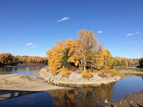 IMG_9955.JPG IMG_9955.JPG