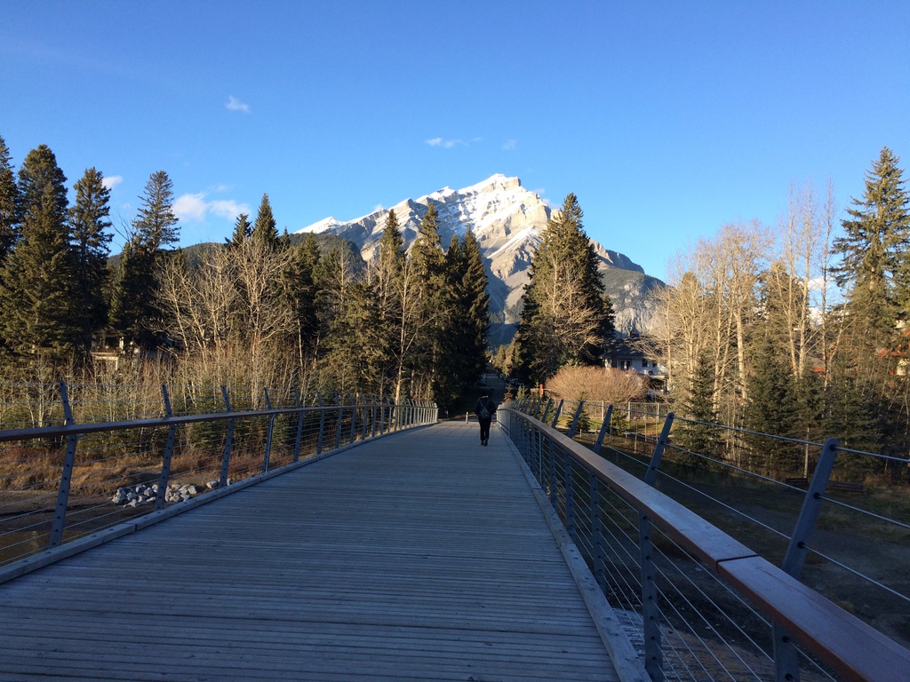 IMG_0897.JPG IMG_0897.JPG