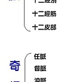 經絡組織系統1