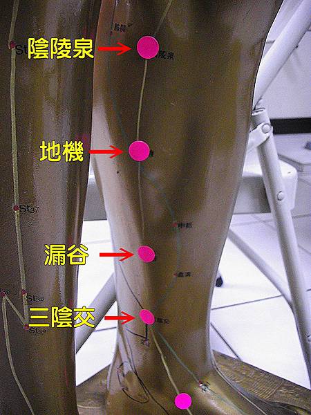 足太陰脾經2