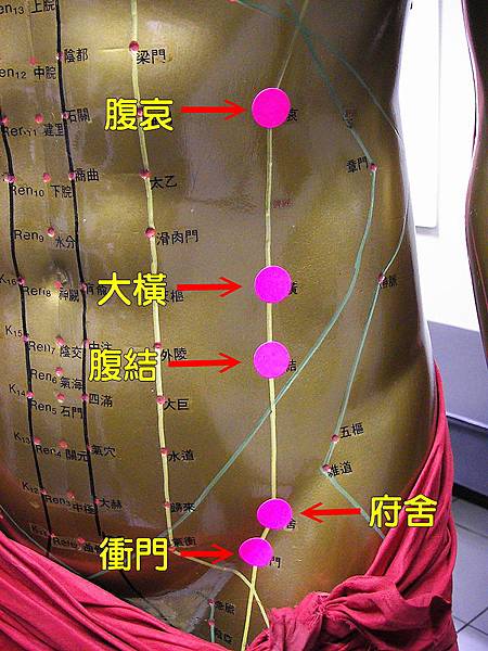 足太陰脾經4