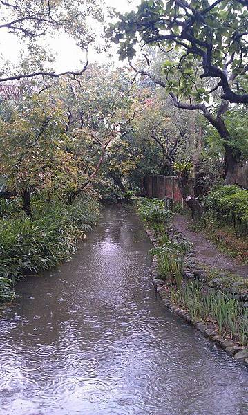 雨