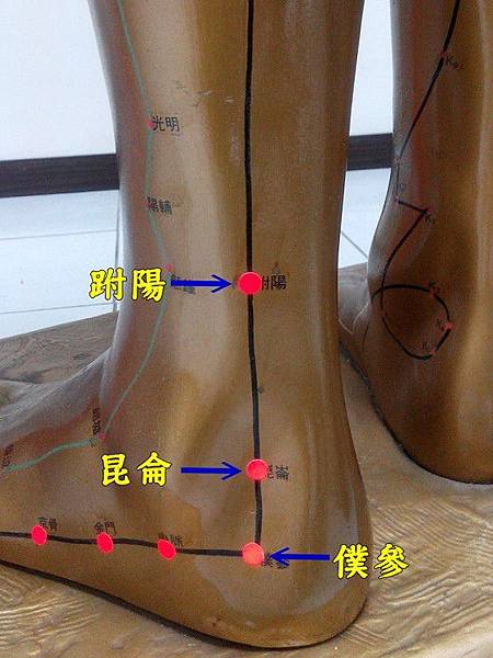 太陽膀胱經10.jpg