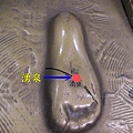 足少陰腎精1