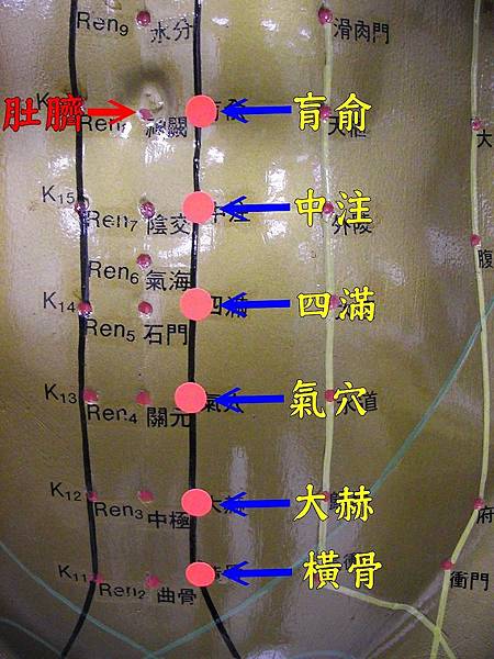 足少陰腎經5