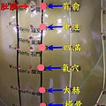 足少陰腎經5