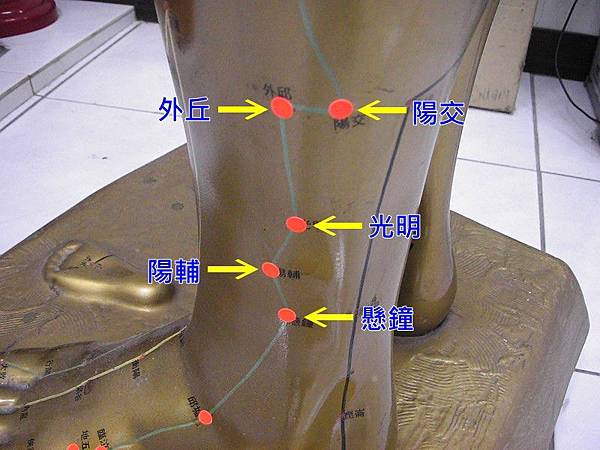 足少陽膽經9