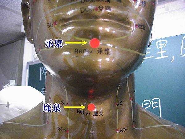 任脈5.jpg