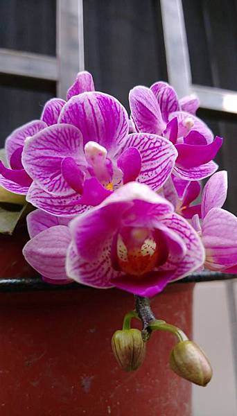 夏日飲食須防火.jpg 夏日飲食須防火.jpg