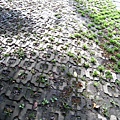 IMG_9814.JPG