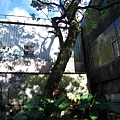 IMG_9809.JPG