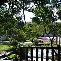 IMG_9812.JPG