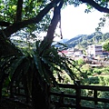 IMG_9890.JPG
