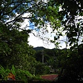 IMG_9783.JPG