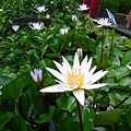 IMG_9803.JPG