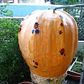 IMG_9881.JPG