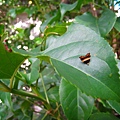 IMG_9813.JPG