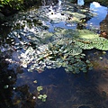 IMG_9844.JPG