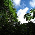 IMG_9785.JPG
