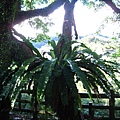 IMG_9889.JPG