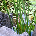 IMG_9794.JPG