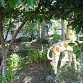 IMG_9852.JPG