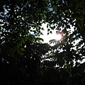 IMG_9784.JPG