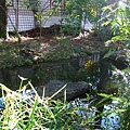 IMG_9853.JPG