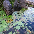 IMG_9795.JPG