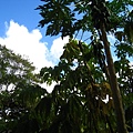 IMG_9780.JPG