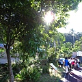 IMG_9857.JPG