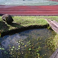 IMG_9822.JPG
