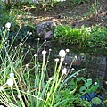 IMG_9860.JPG