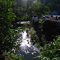 IMG_9820.JPG
